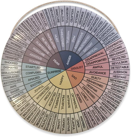Feelings Chart Color Wheel Poster